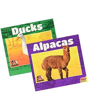 Farm Animals: Ducks and Alpacas